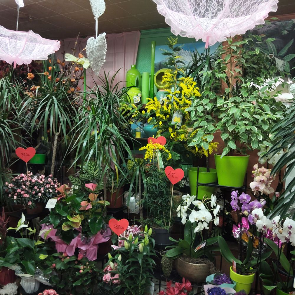 fleuriste milleflor vailly sur aisne