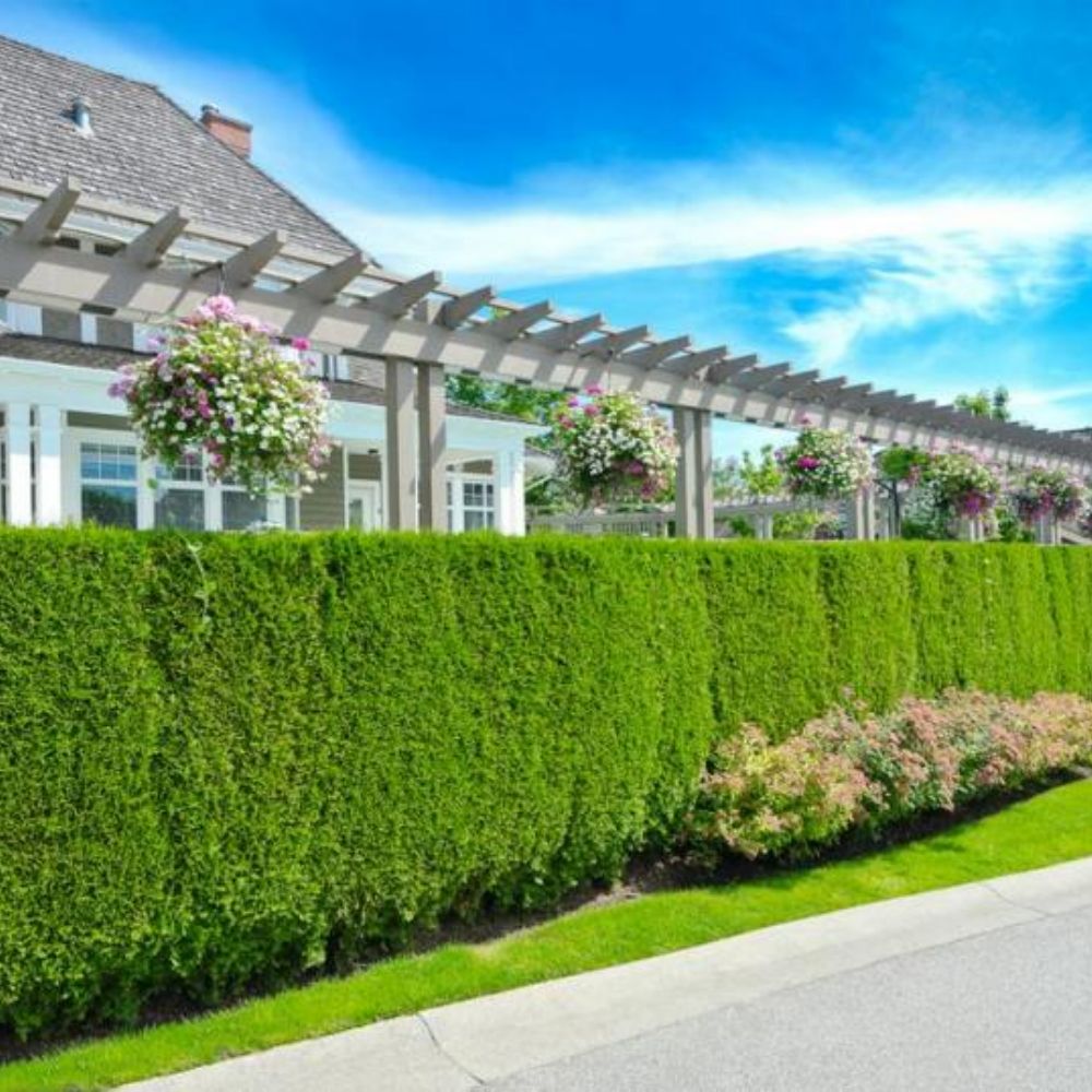 jardins du ru preux vailly sur aisne